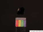 L_V23d1721 J1q31 Ux06 dM bl f3